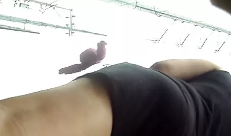 dat ass twerk داستان خیلی سکسی 4