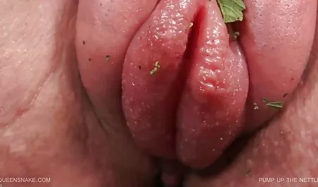 خدمتکار جدید آلمانی سکس با زن برادر زنم