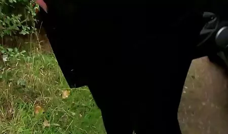 آنابل چانگ با تقدیر پوشانده شده است داستان سکس در مدرسه